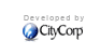 CityCorp Mkt Group